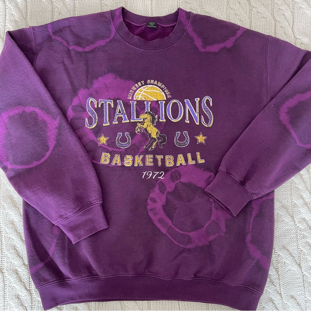 Urban Outfitters Purple Stallion Basketball Sweatshirt, Size M